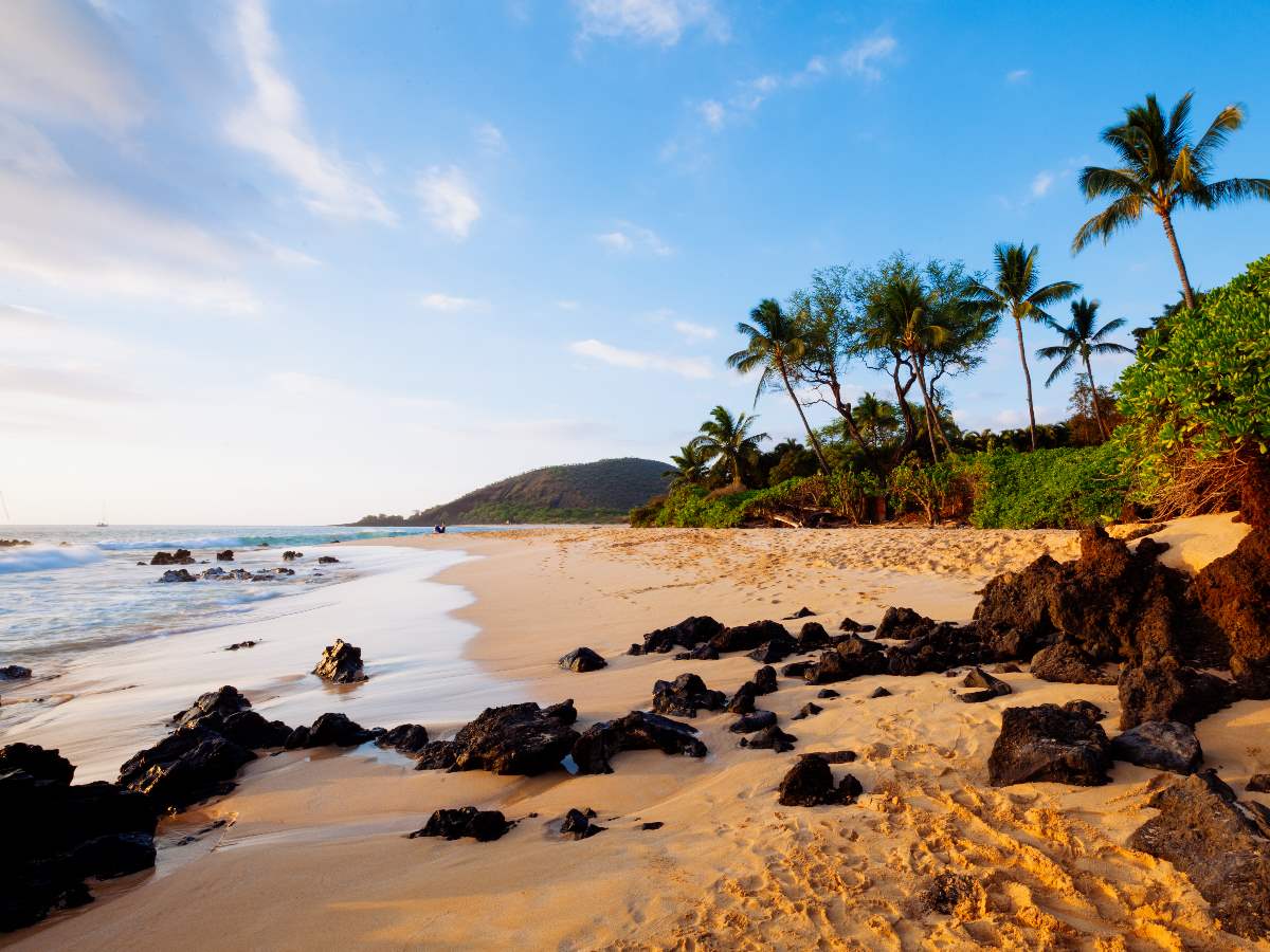 Things to Do in Maui
