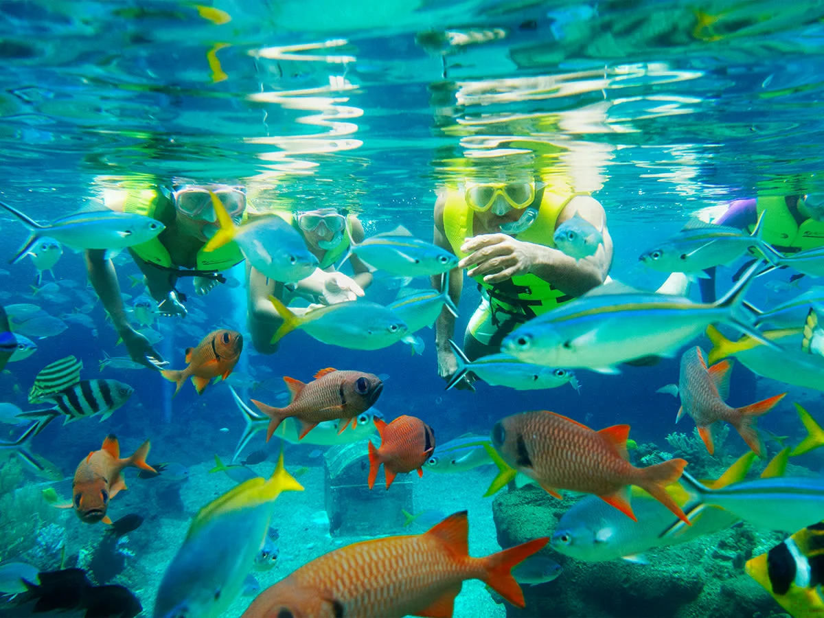 Things to Do in Singapore