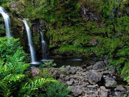 Things to Do in Maui