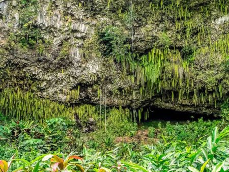 Things to Do in Kauai -