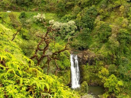 Things to Do in Maui
