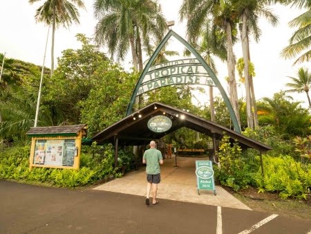 Things to Do in Kauai