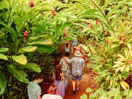 Things to Do in Kauai