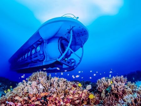 Things to Do in Big Island - Stuff to Do on the Big Island