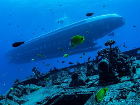 Things to Do in Oahu