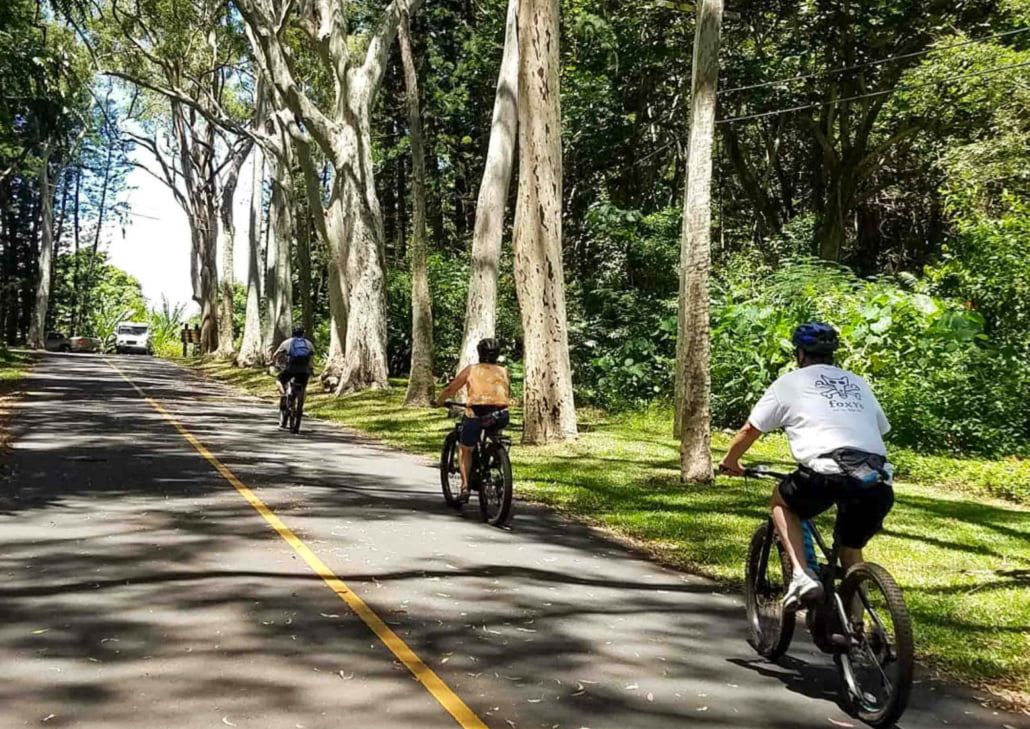 Things to Do in Oahu