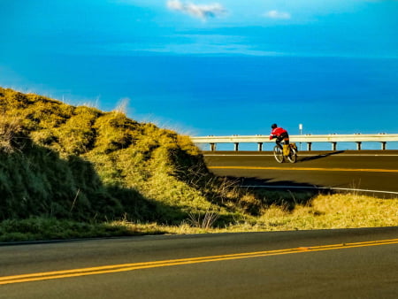 Things to Do in Maui