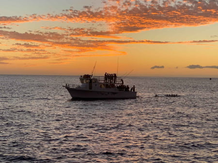 Things to Do in Big Island - Stuff to Do on the Big Island
