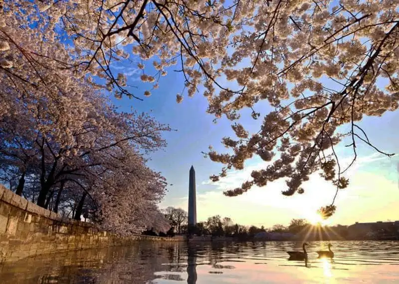 things to do in washington dc