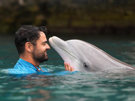Things to Do in Big Island - Stuff to Do on the Big Island