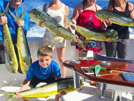 Things to Do in Big Island - Stuff to Do on the Big Island