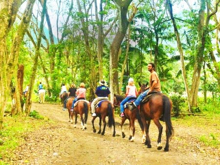 Things to Do in Big Island - Stuff to Do on the Big Island