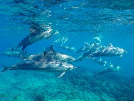 Things to Do in Big Island - Stuff to Do on the Big Island