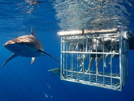 Things to Do in Oahu