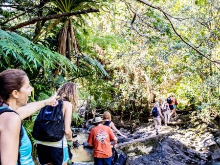Things to Do in Maui