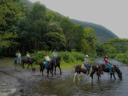 Things to Do in Big Island - Stuff to Do on the Big Island