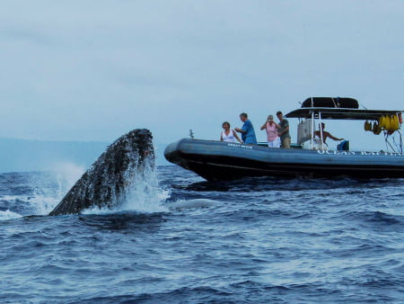 Things to Do in Maui
