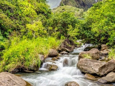 Things to Do in Maui
