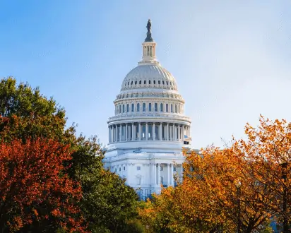 things to do in washington dc