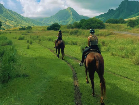Things to Do in Oahu