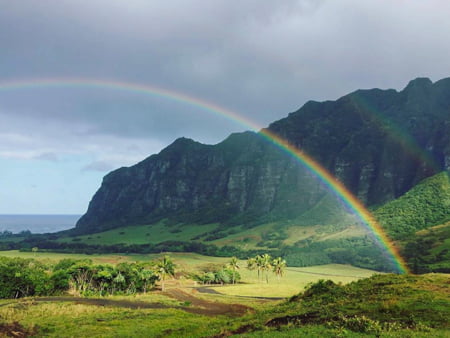 Things to Do in Oahu