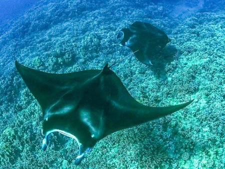 Things to Do in Big Island - Stuff to Do on the Big Island