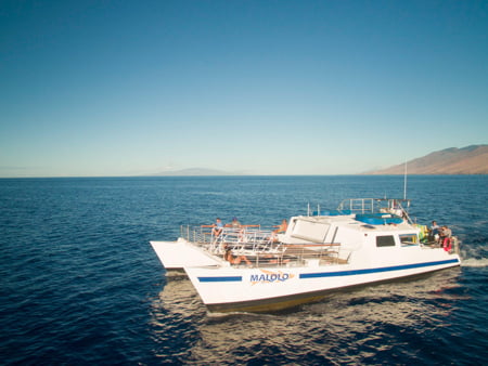 Things to Do in Maui