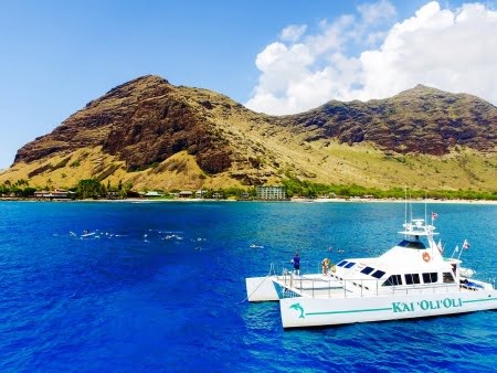 Things to Do in Oahu
