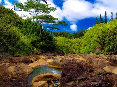 Things to Do in Maui