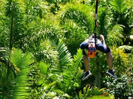 Things to Do in Maui