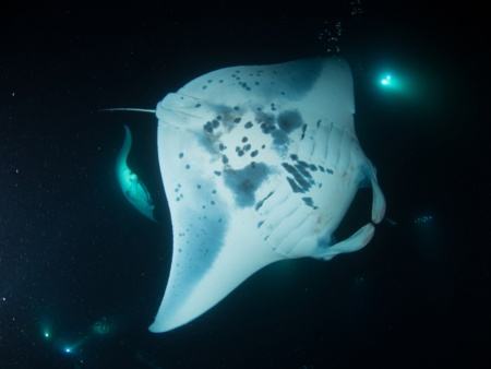 Things to Do in Big Island - Stuff to Do on the Big Island