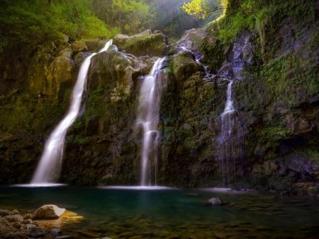 Things to Do in Maui
