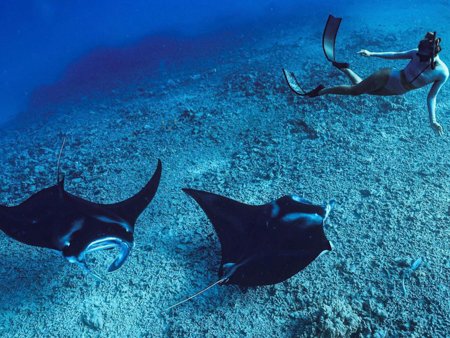 Things to Do in Big Island - Stuff to Do on the Big Island