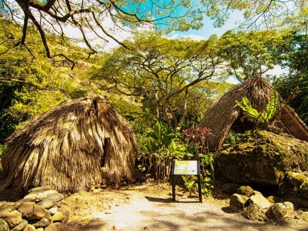 Things to Do in Oahu